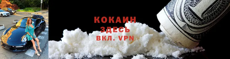 COCAIN FishScale  блэк спрут вход  Короча  купить  