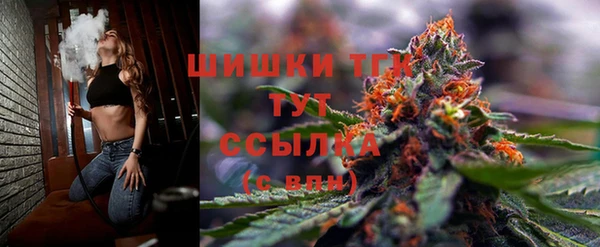 соль ск Переславль-Залесский