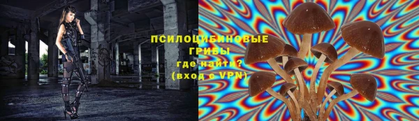 бошки Алексеевка