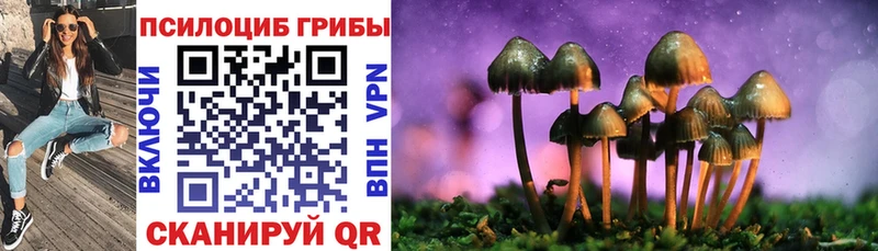 Псилоцибиновые грибы GOLDEN TEACHER  ОМГ ОМГ ONION  Короча 